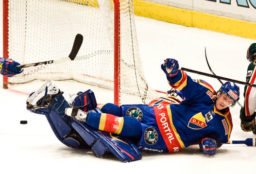 Ronnie Pettersson, Djurgården