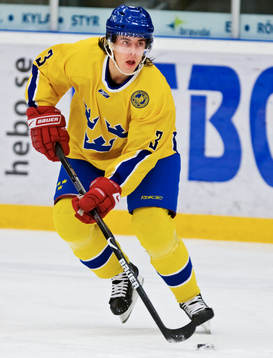 Sebastian Erixon