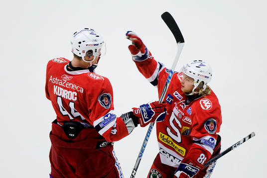 Bläddra bland fler bilder av Ishockey, Elitserien, Södertälje-Rögle
