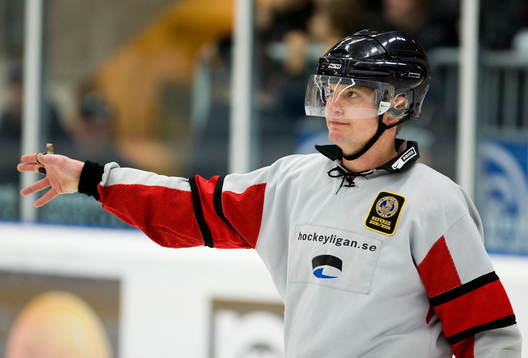 Markus Vinnerborg, domare