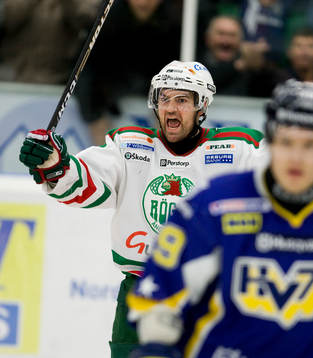 Peter Högardh, Rögle, jubel
