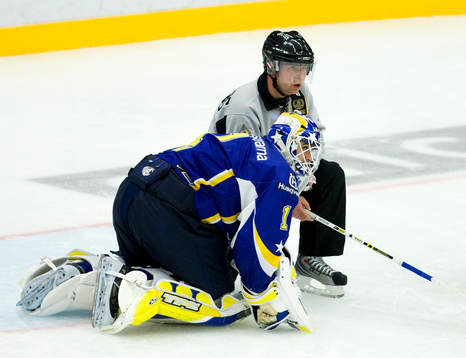 Stefan Liv, målvakt, HV71, skada