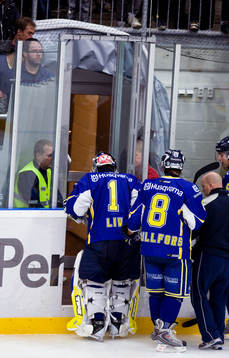 Stefan Liv, målvakt, HV71, skada
