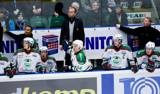Peter Johansson, tränare, Rögle