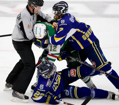 Peter Högardh, Rögle, David Petrasek och Per Gustafsson,