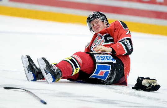 Fredrik Warg, Modo, skada