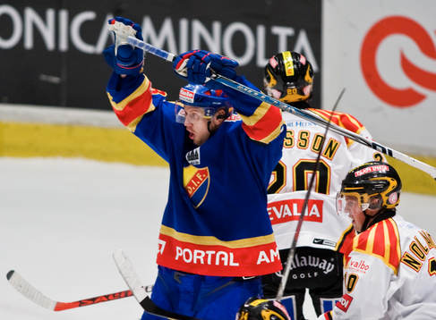 Michael Holmqvist, Djurgården jubel
