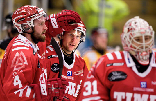 Mikko Lehtonen, Timrå jubel