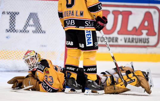 Mattias Modig, Målvakt, depp