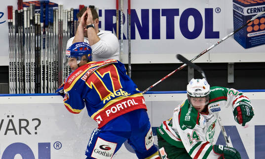 Niklas Anger, Djurgården och Mikael Gath, Rögle