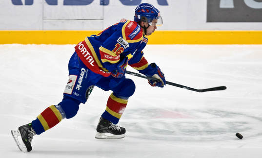 Nichlas Falk