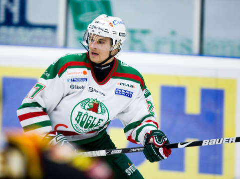 Johannes Salmonsson