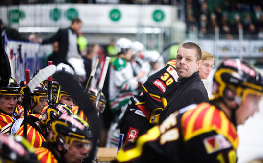 Niklas Czarnecki, tränare, Brynäs