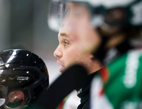 Peter Johansson, tränare