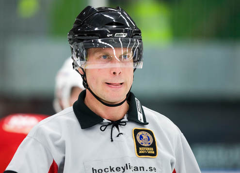 Ulf Rönnmark, domare