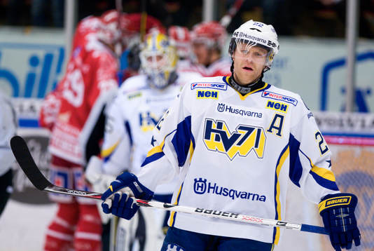 David Petrasek, HV71 depp