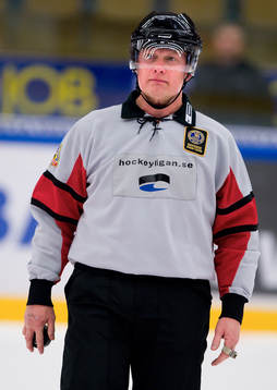 Ulf Rådbjer, Domare
