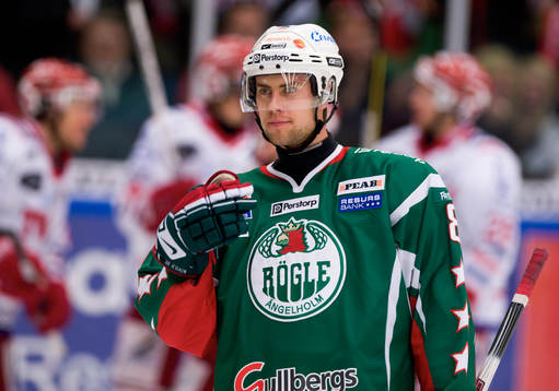 Mathias Porseland, Rögle, depp