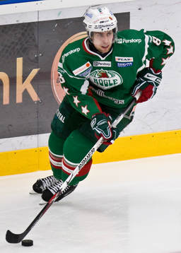 Mathias Porseland