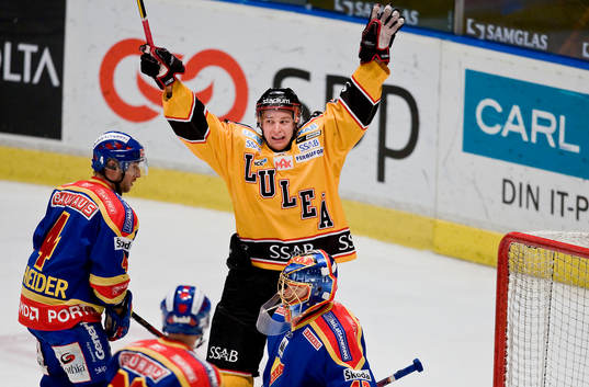 Johan Harju, Luleå jubel