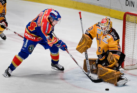 Mikael Ahlén, Djurgården och Mattias Modig, målvakt,