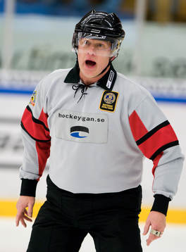 Domare, Ulf Rådbjer