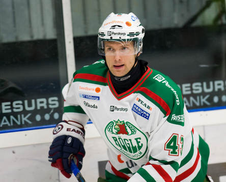 Bläddra bland fler bilder av Ishockey, Elitserien, Rögle - LinköpingIt's just like my hole w