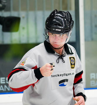 Marcus Vinnerborg, domare