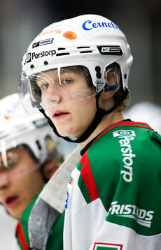 Ted Brithén, Rögle