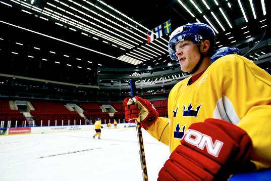 Mika Hannula, Sverige