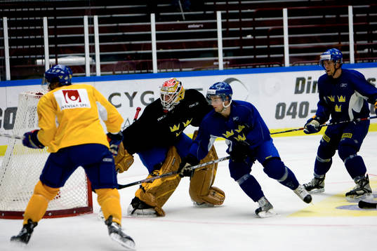 Ishockey, Sverige träning