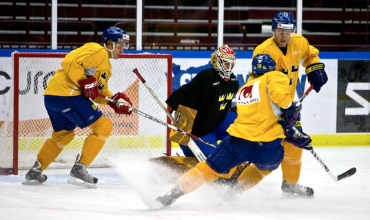 Ishockey, Sverige träning