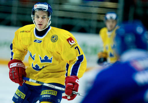 Fredrik Hynning, Sverige