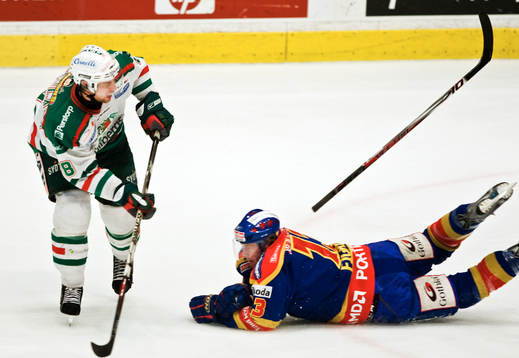 Mathias Porseland, Rögle och Robin Frigren, Djurgården
