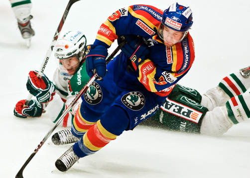 Mattias Sjögren, Rögle och Timmy Pettersson, Djurgården