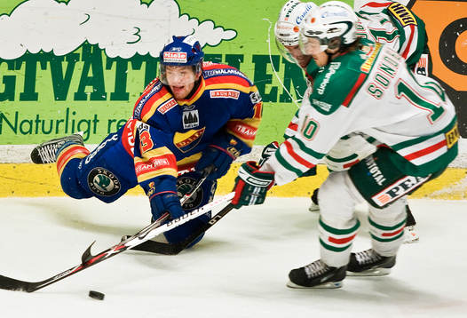 Robin Frigren, Djurgården och Daniel Sondell, Rögle