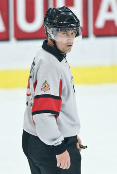 Domare Sören Persson
