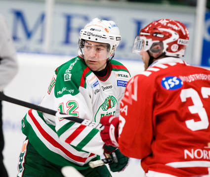Peter Högardh, Rögle