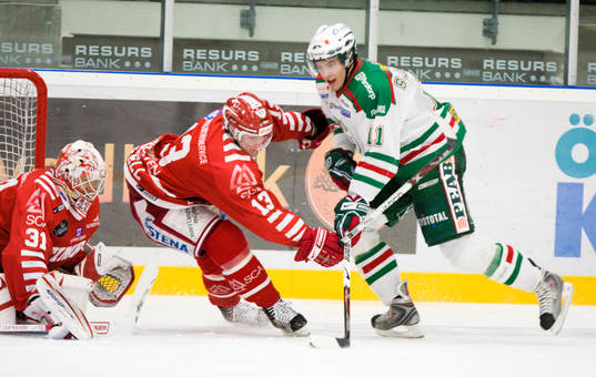 Mattias Sjögren, Rögle, Johan Backlund, målvakt och Tom