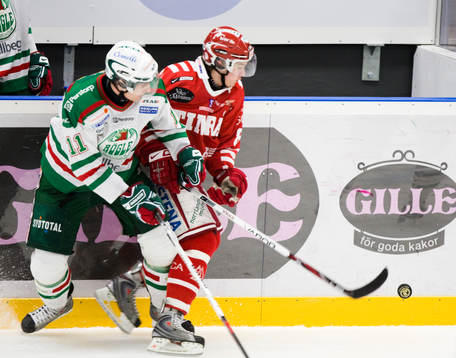 Mattias Sjögren, Rögle och Dennis Persson, Timrå
