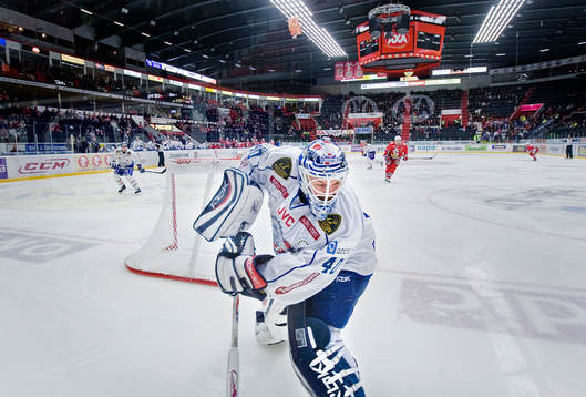 Daniel Henriksson, målvakt Linköping