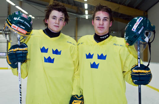 Maskim Matusjkin och Joakim Törnqvist, Sverige