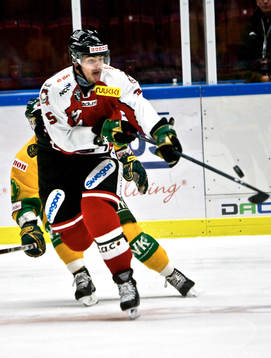 Bläddra bland fler bilder av Ishockey, Allsvenskan, Malmö - Björklöven