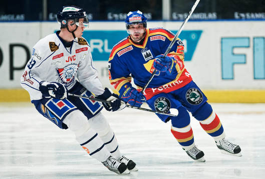 Bläddra bland fler bilder av Ishockey, Elitserien, Djurgården - Linköping
