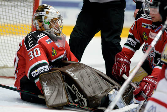 Michal Zajkowski, Målvakt Modo och Mattias Timander
