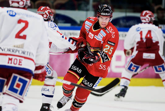 Lubos Bartecko, Luleå