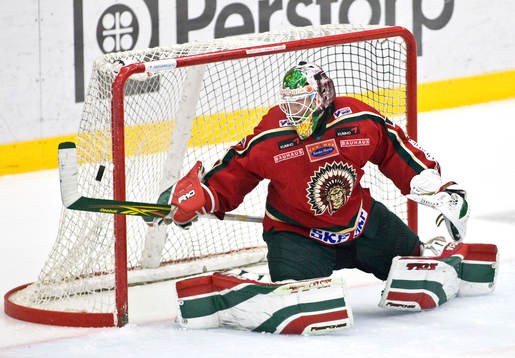 Johan Holmqvist, målvakt