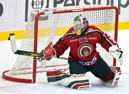 Johan Holmqvist, målvakt
