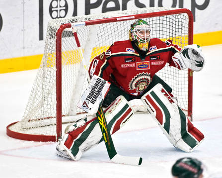 Johan Holmqvist, målvakt
