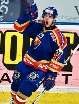 Niklas Anger, jubel